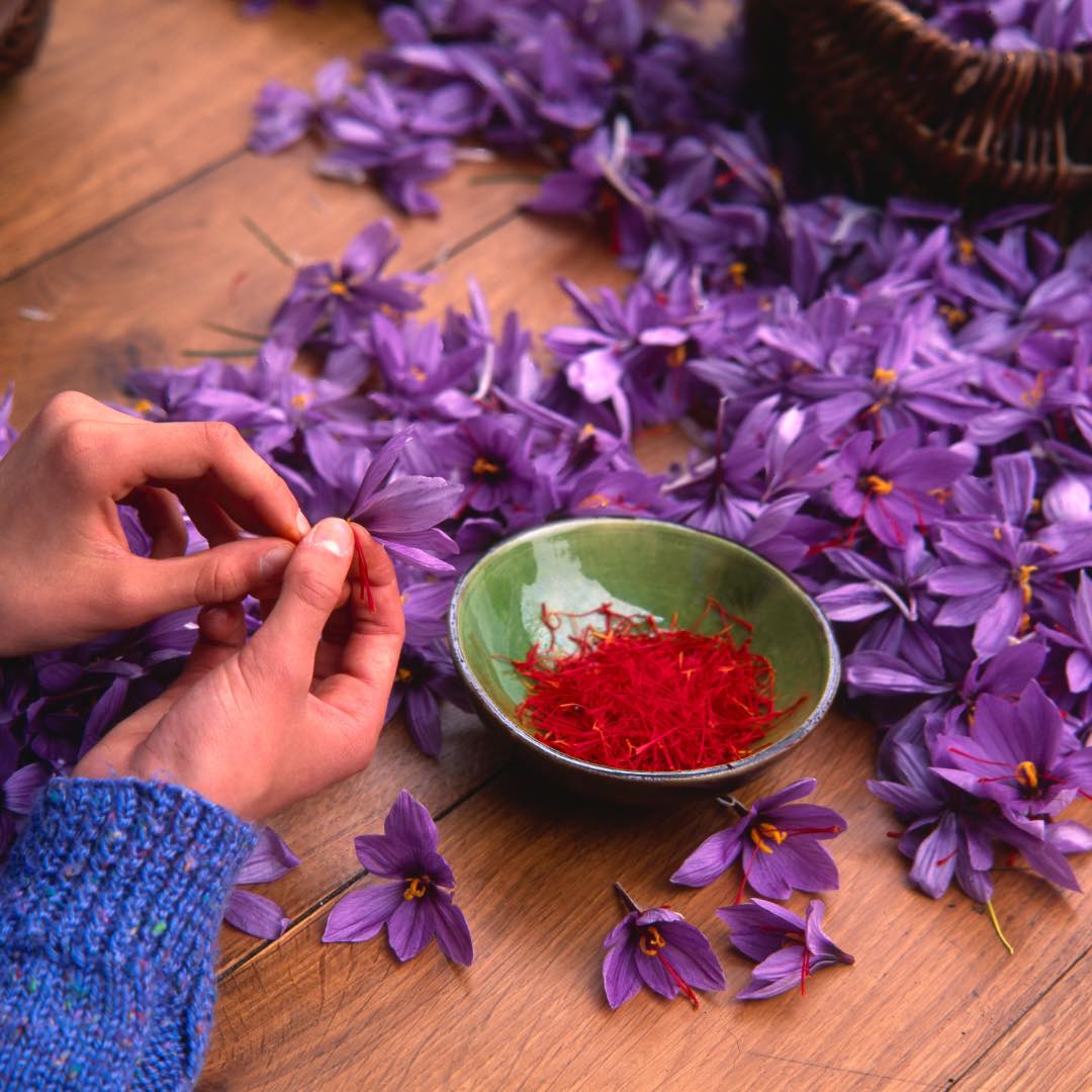 Saffron - Origin and Benefits